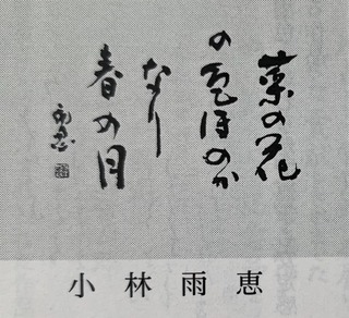 FDCECF51-5E98-43BE-B07C-5331085D02AF.jpeg